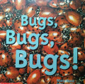 BUGS, BUGS, BUGS!