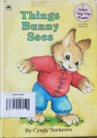 Image of THINGS BUNNY SEES