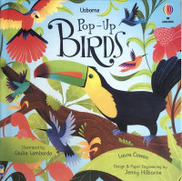 Image of BIRDS / USBORNE POP-UP