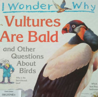 Image of VULTURES ARE BALD / I WONDER WHY
