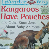 Image of KANGAROOS HAVE POUCHES / I WONDER WHY
