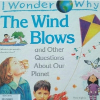 Image of THE WIND BLOWS / I WONDER WHY