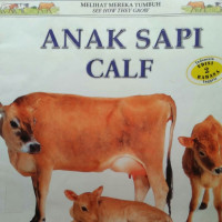 Image of ANAK SAPI / MELIHAT MEREKA TUMBUH