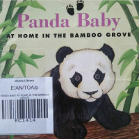Image of PANDA BABY AT HOME IN THE BAMBOO GROVE