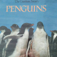 Image of PENGUINS