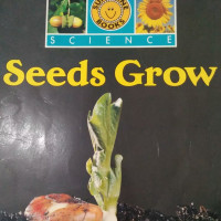 Image of SEEDS GROW / BIG BOOK