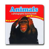 Image of ANIMALS / A PHOTOGRAPHIC LEARNING BOOK